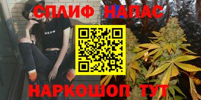 гидра Анжеро-Судженск