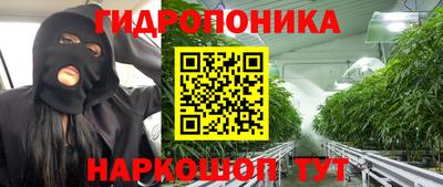 гидра Анжеро-Судженск