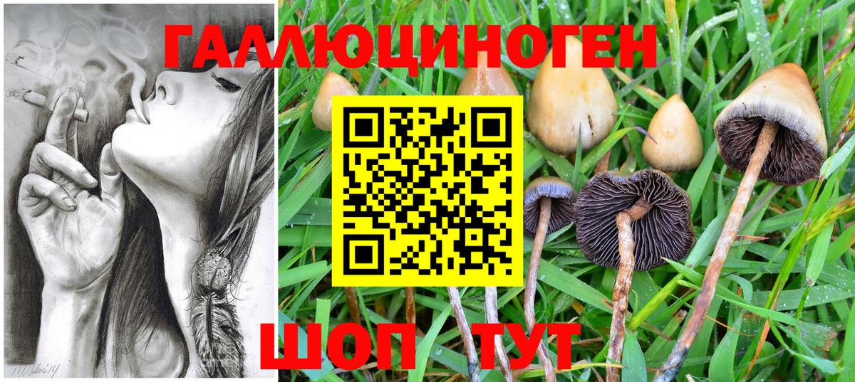 Галлюциногенные грибы Psilocybine cubensis  Галлюциногенные грибы MAGIC MUSHROOMS  Ленинск-Кузнецкий  Вход с VPN 