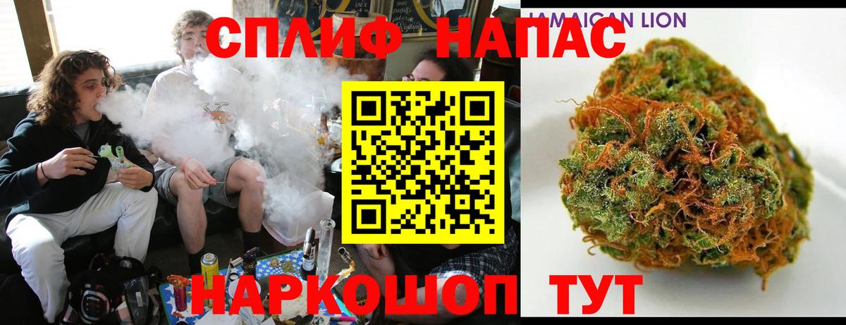 Каннабис сатива Ленинск-Кузнецкий